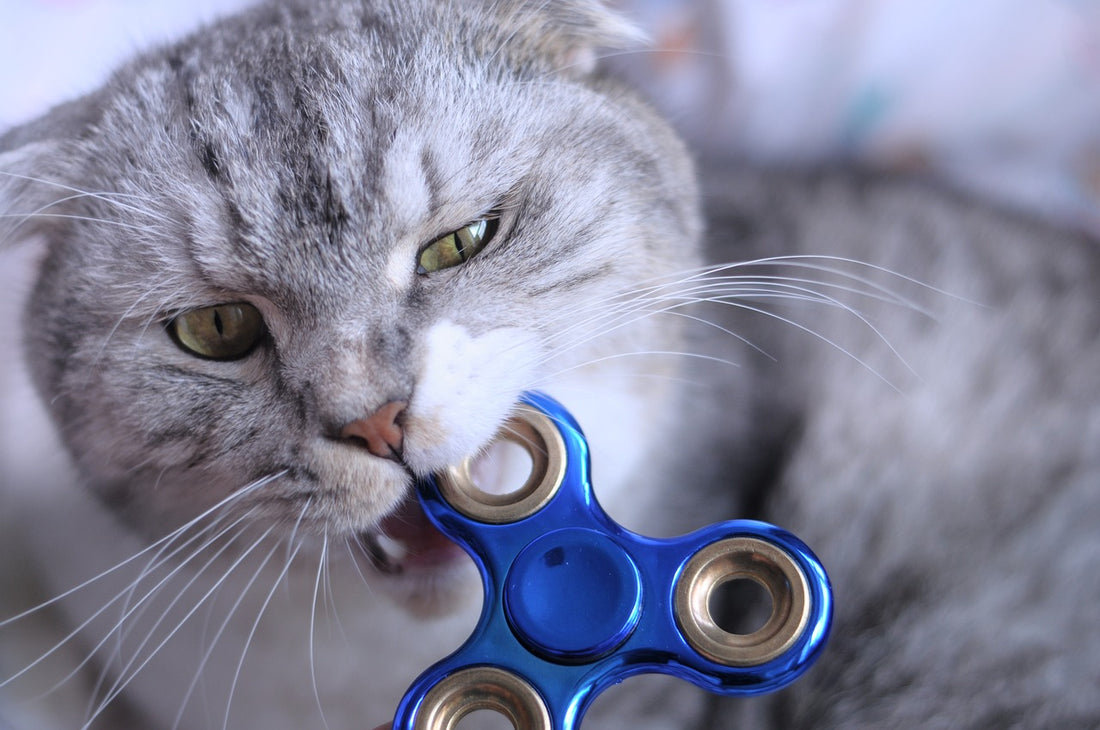 Can Fidget Devices Actually Decrease Anxiety?