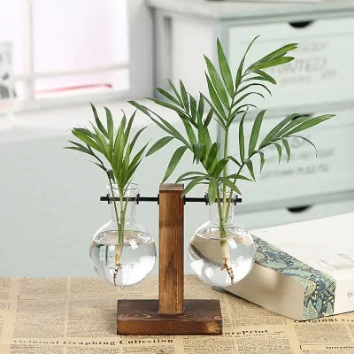 Stylish Vase for Hydroponic Plants